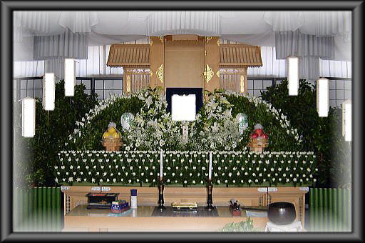 �F�l���P�W���~�i�ŕʁj